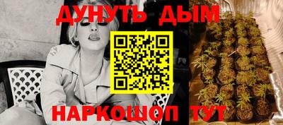 стафф Будённовск