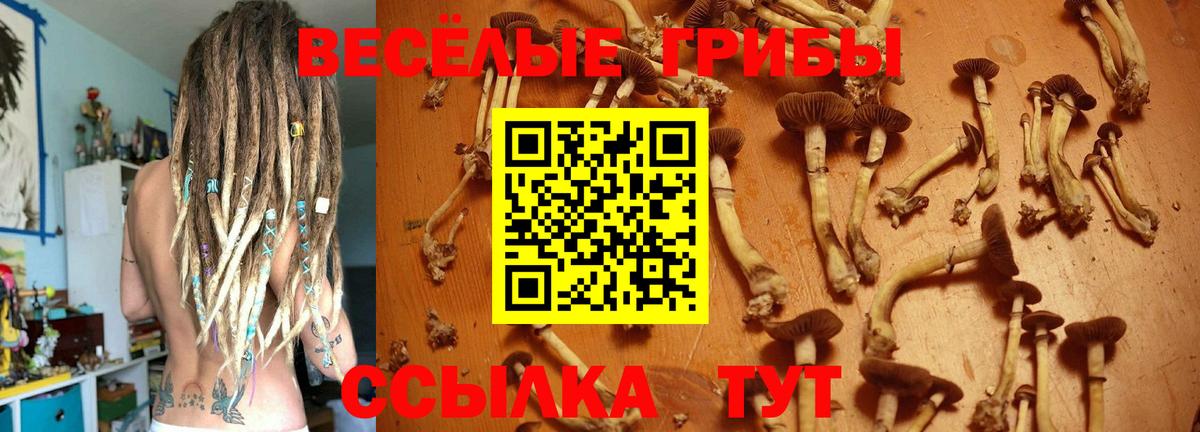 Сибай  Галлюциногенные грибы Magic Shrooms  хочу   Псилоцибиновые грибы GOLDEN TEACHER  Вход с VPN 