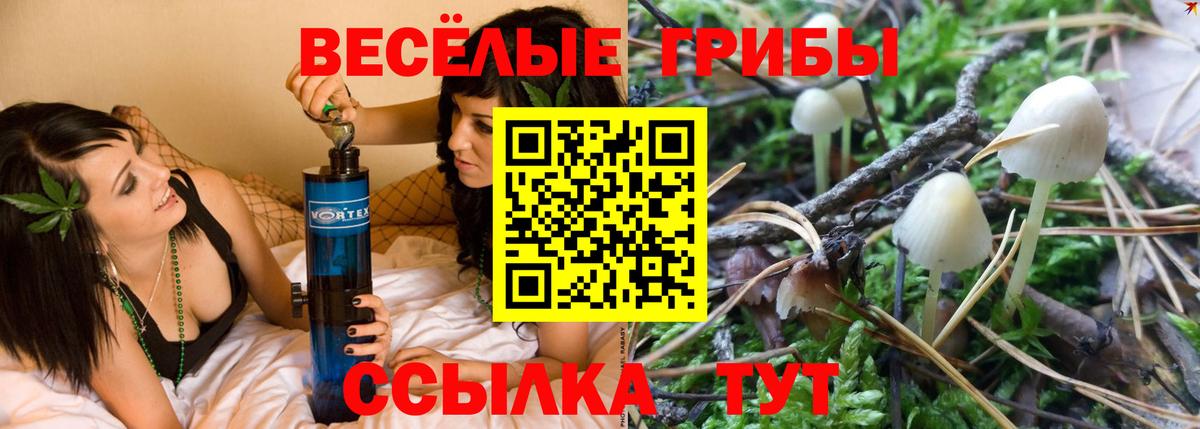Псилоцибиновые грибы MAGIC MUSHROOMS Сибай